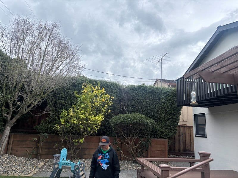 Gallery photos for Impressive Hedge Trimming Project: Image #2