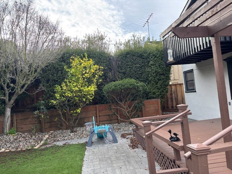 Gallery photos for Impressive Hedge Trimming Project: Image #3